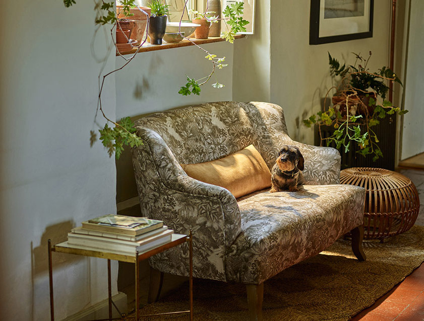 Grassington 2 Seater Sofa in RHS Botanicals on Velvet Ferns Toile Olive with scatter in Almost Plain Velvet Harvest